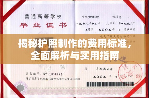 鲁甸揭秘护照制作的费用标准，全面解析与实用指南