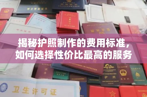 鲁甸揭秘护照制作的费用标准，如何选择性价比最高的服务？